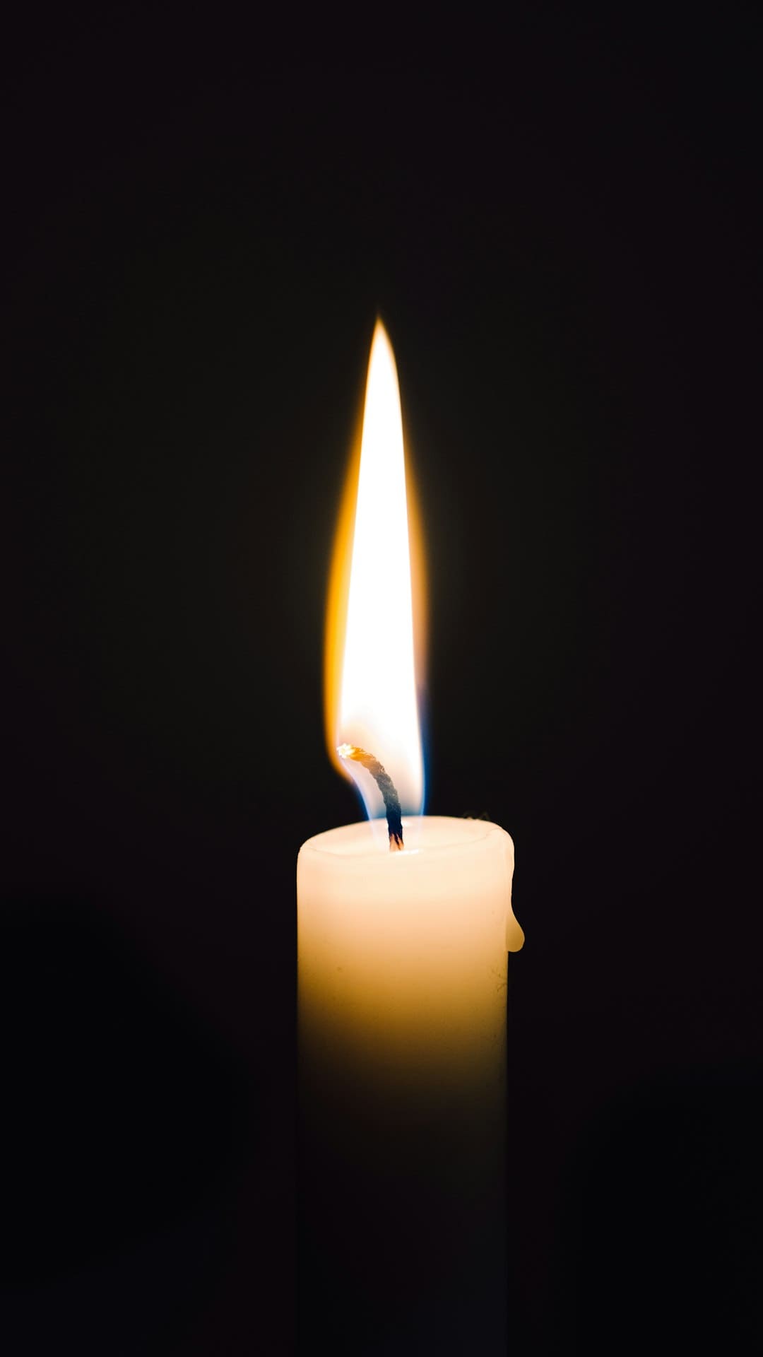 https://p4.img.cctvpic.com/photoworkspace/contentimg/2025/09/06/2025090606155917492.jpg