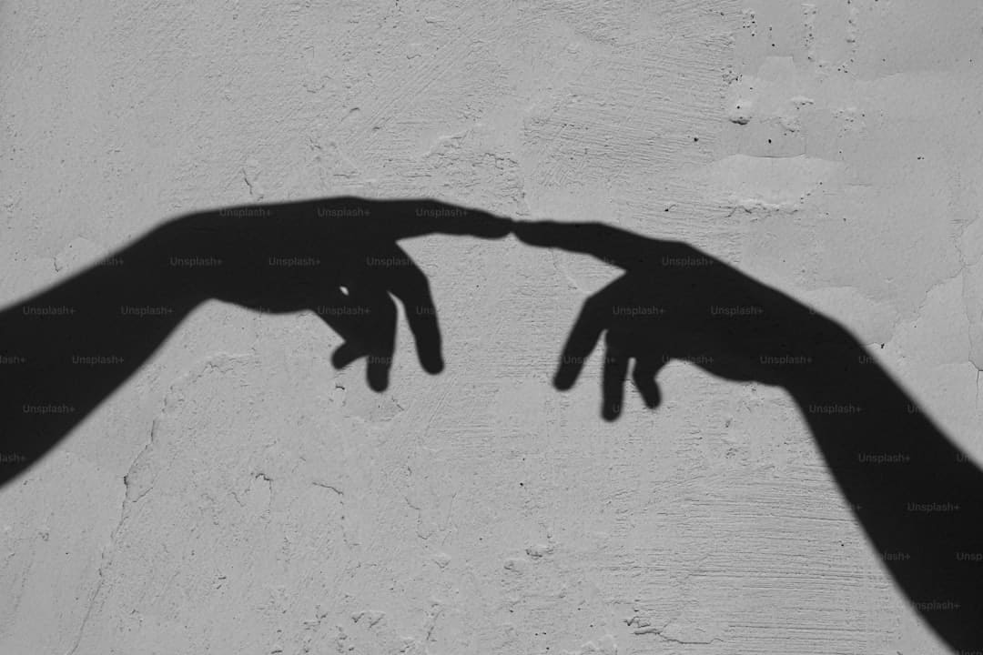 四百份“英豪帖”引来超六百名专家学者,夏繁高地引力安在?